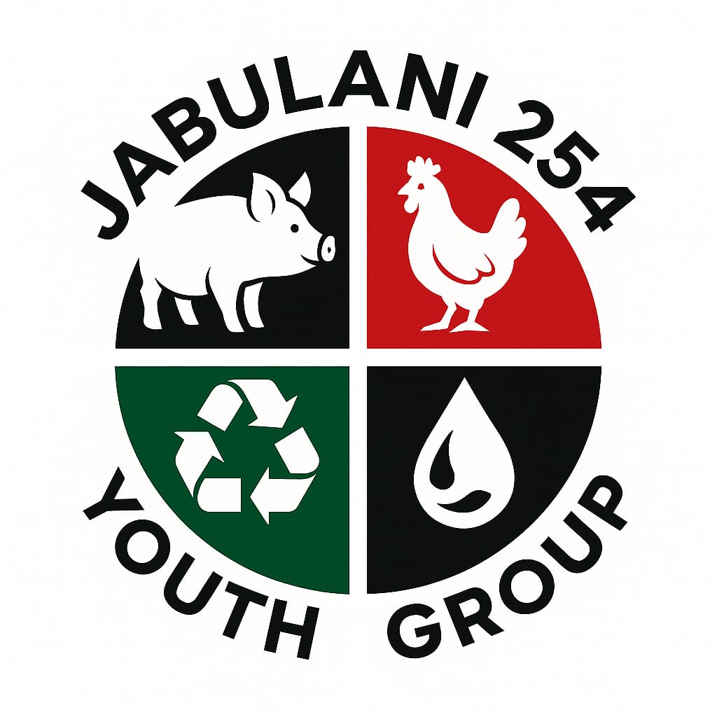 Jabulani 254 Youth Group
