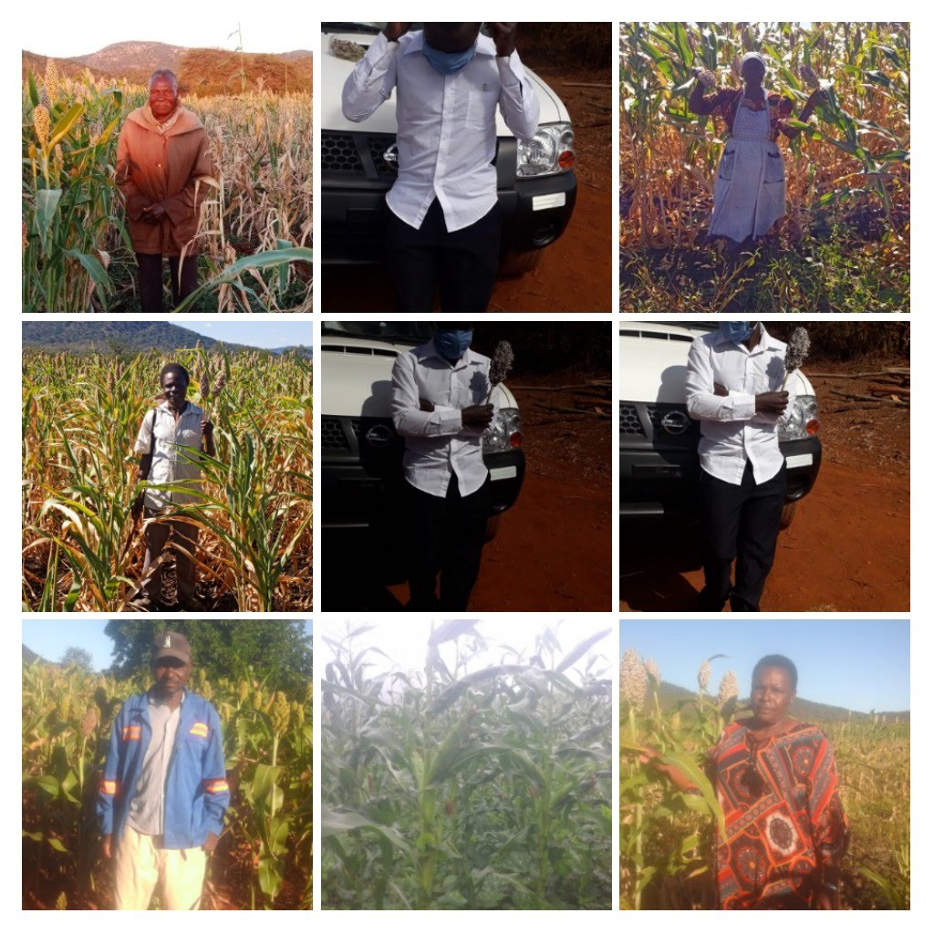 Farmers Pride Trust Zimbabwe
