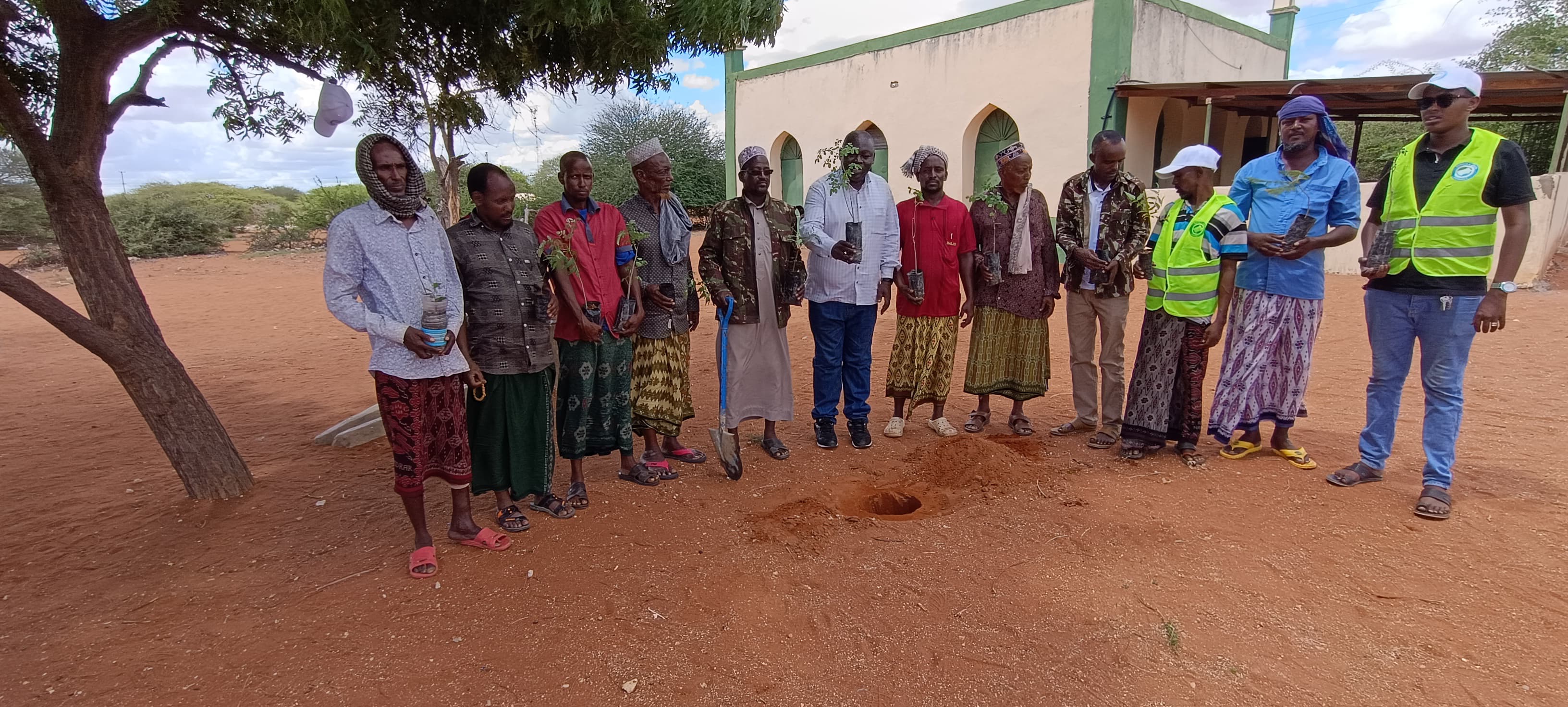 AMEESA ORGANIZATION