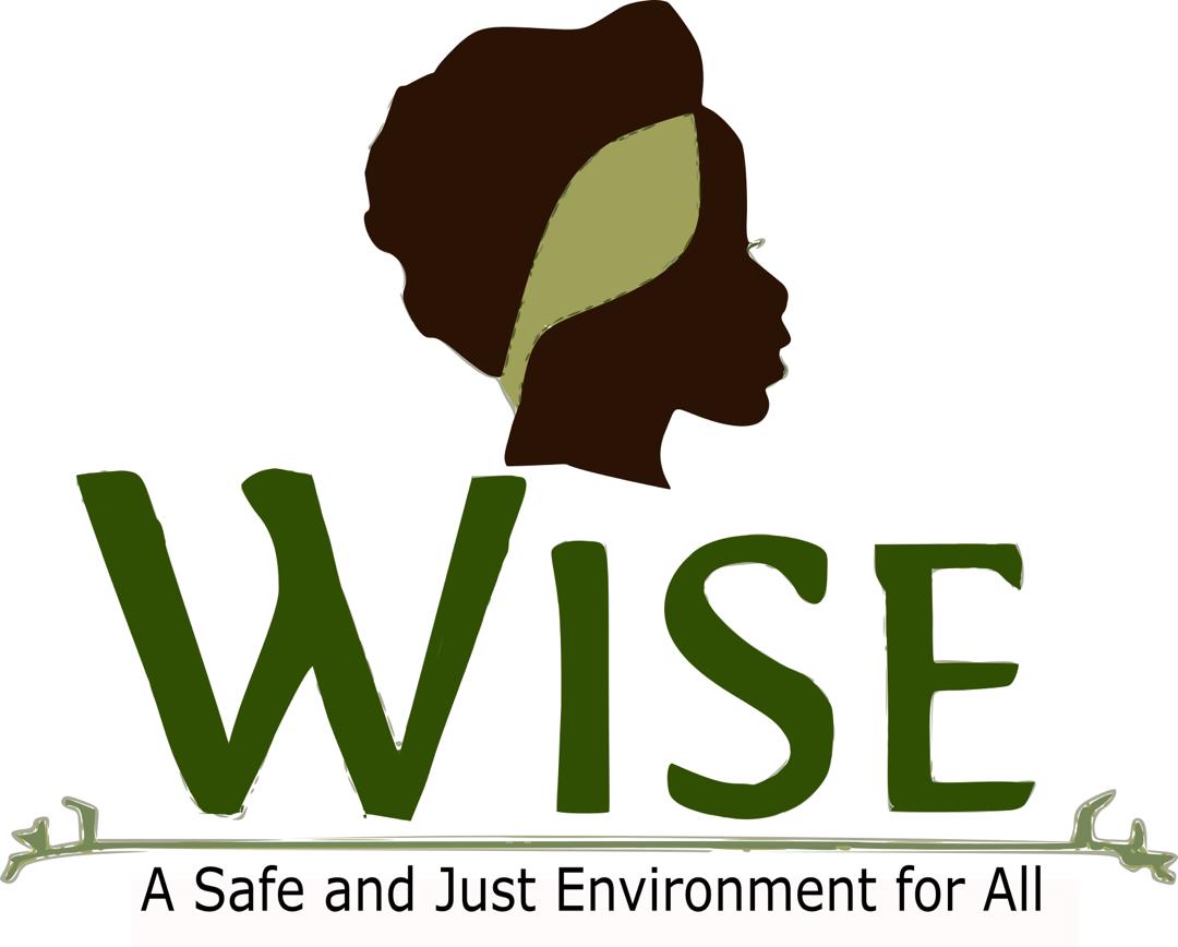 Women Initiative for Sustainable Environment (WISE)