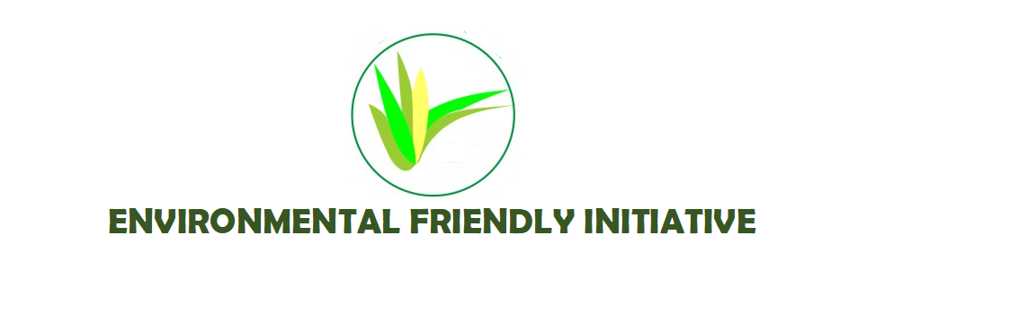 Environmental Friendly Initiative (EFI)
